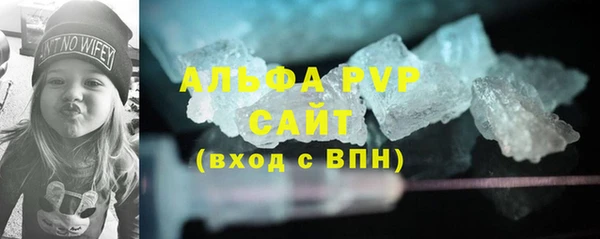 спиды Богданович