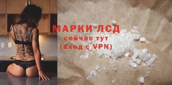 ГАЛЛЮЦИНОГЕННЫЕ ГРИБЫ Белокуриха