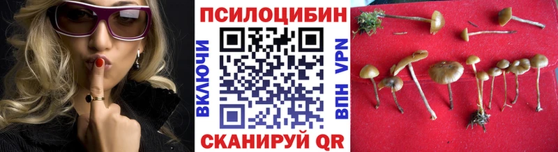 Псилоцибиновые грибы прущие грибы  mega маркетплейс  Берёзовка 